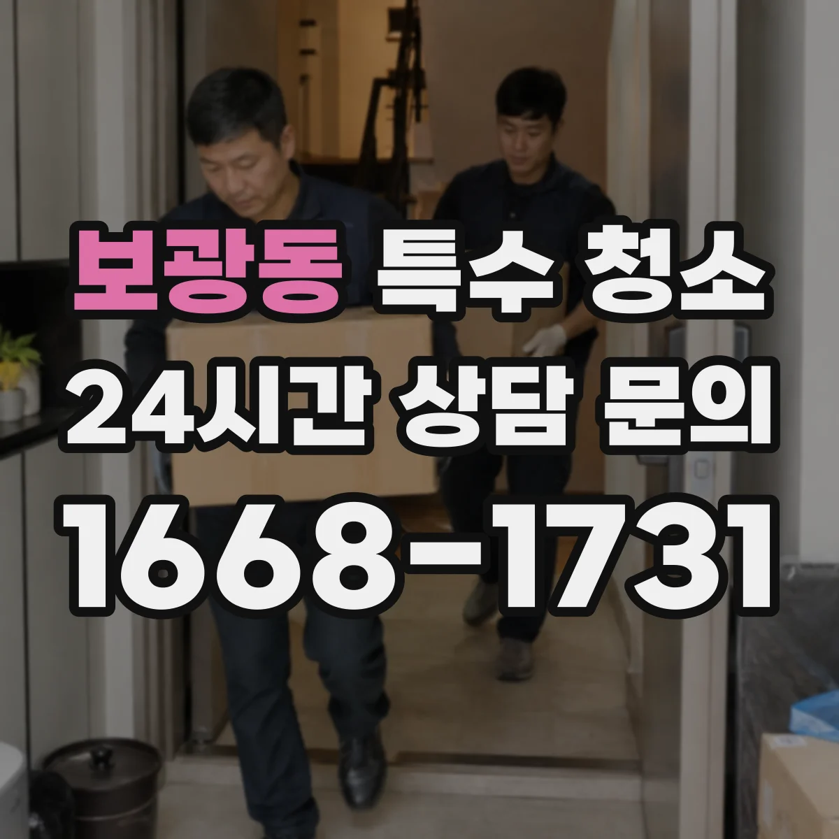 보광동 특수 청소