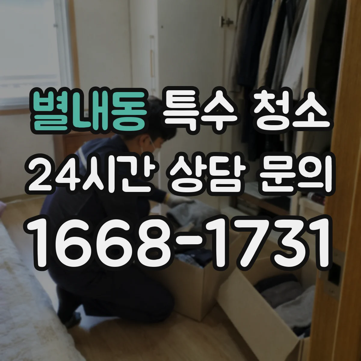 별내동 특수 청소