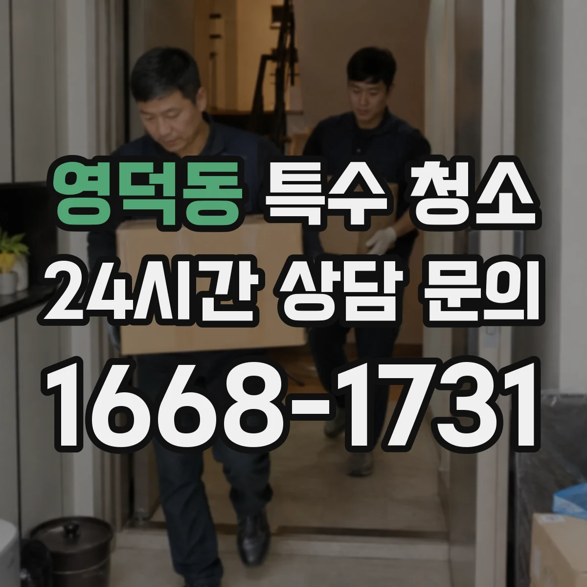 영덕동 특수 청소