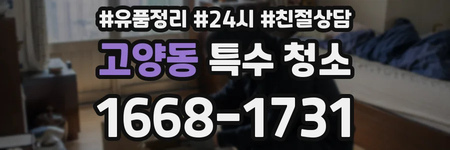 고양동 특수 청소
