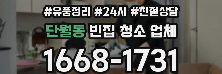 단월동 빈집 청소 업체