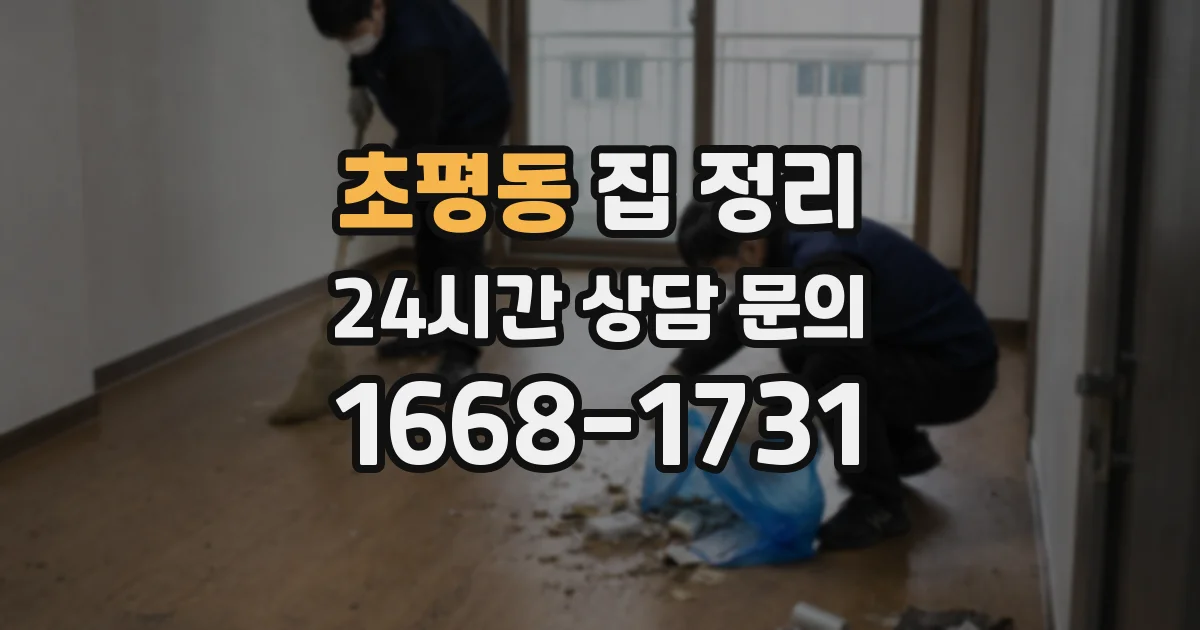 초평동 집 정리