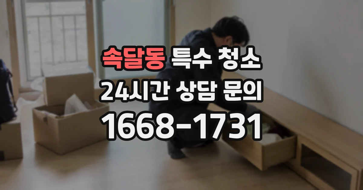 속달동 특수 청소
