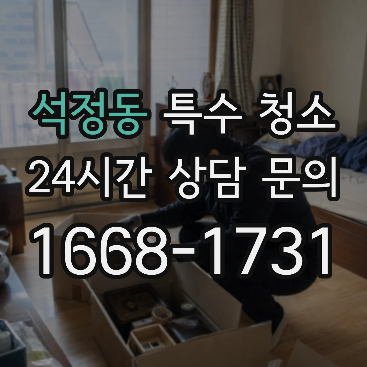 석정동 특수 청소