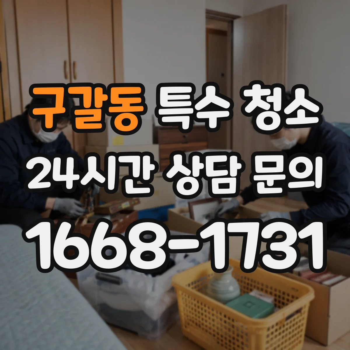구갈동 특수 청소