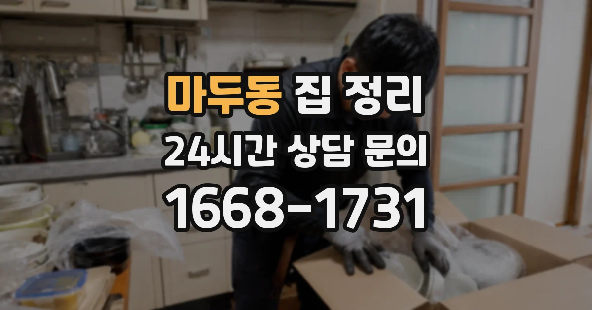 마두동 집 정리