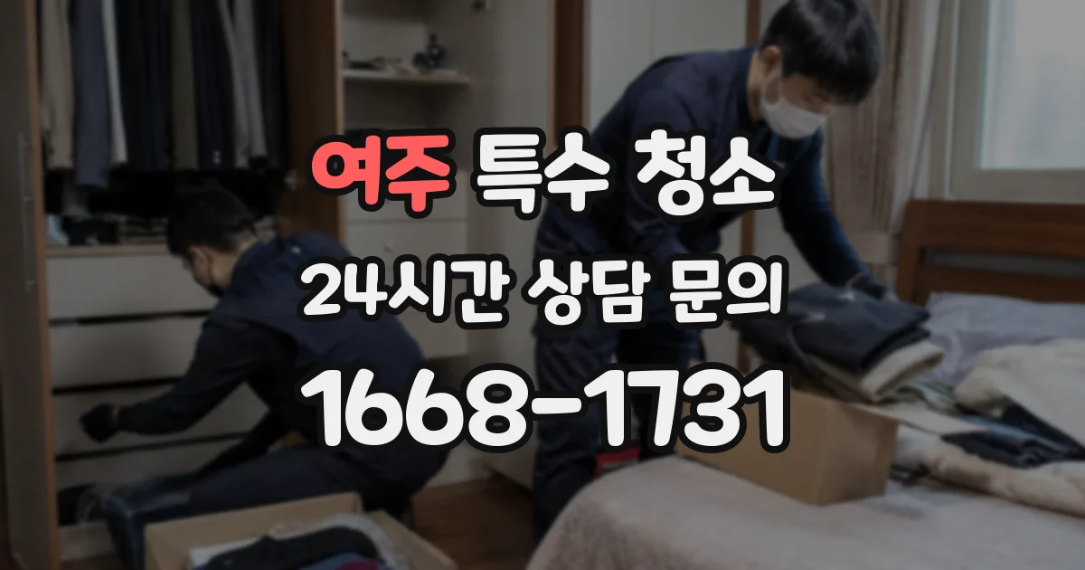 여주 특수 청소