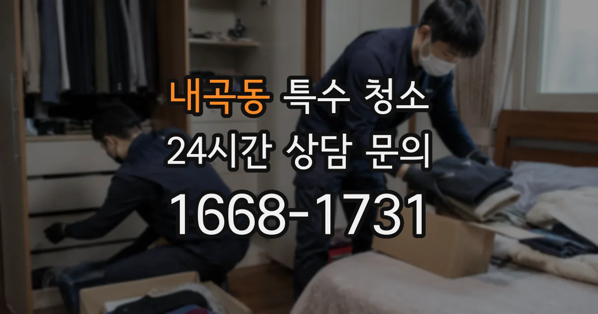 내곡동 특수 청소