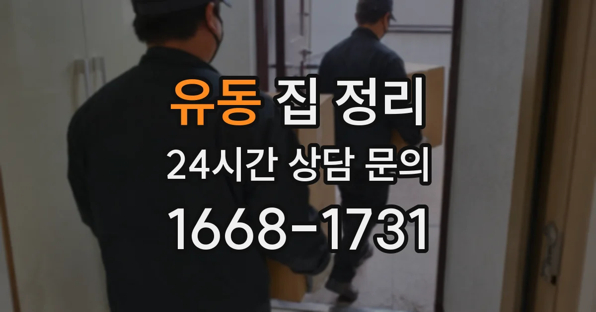 유동 집 정리