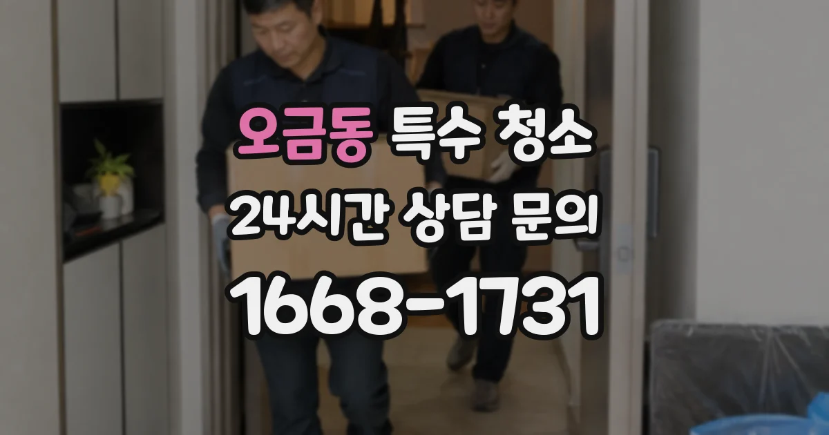 오금동 특수 청소