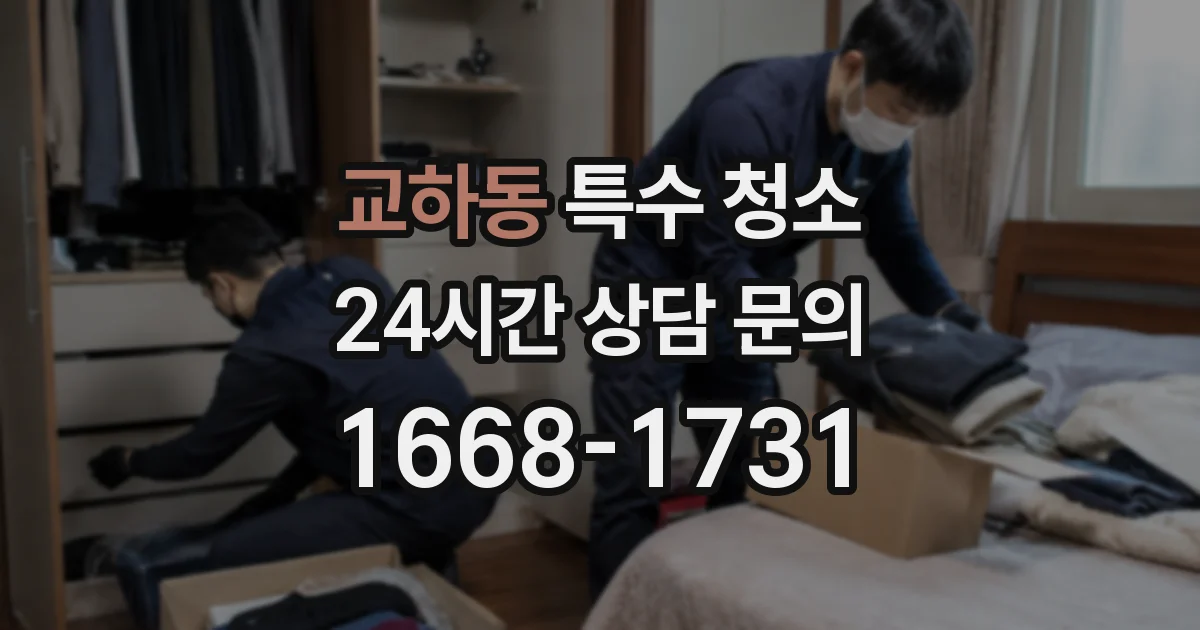 교하동 특수 청소