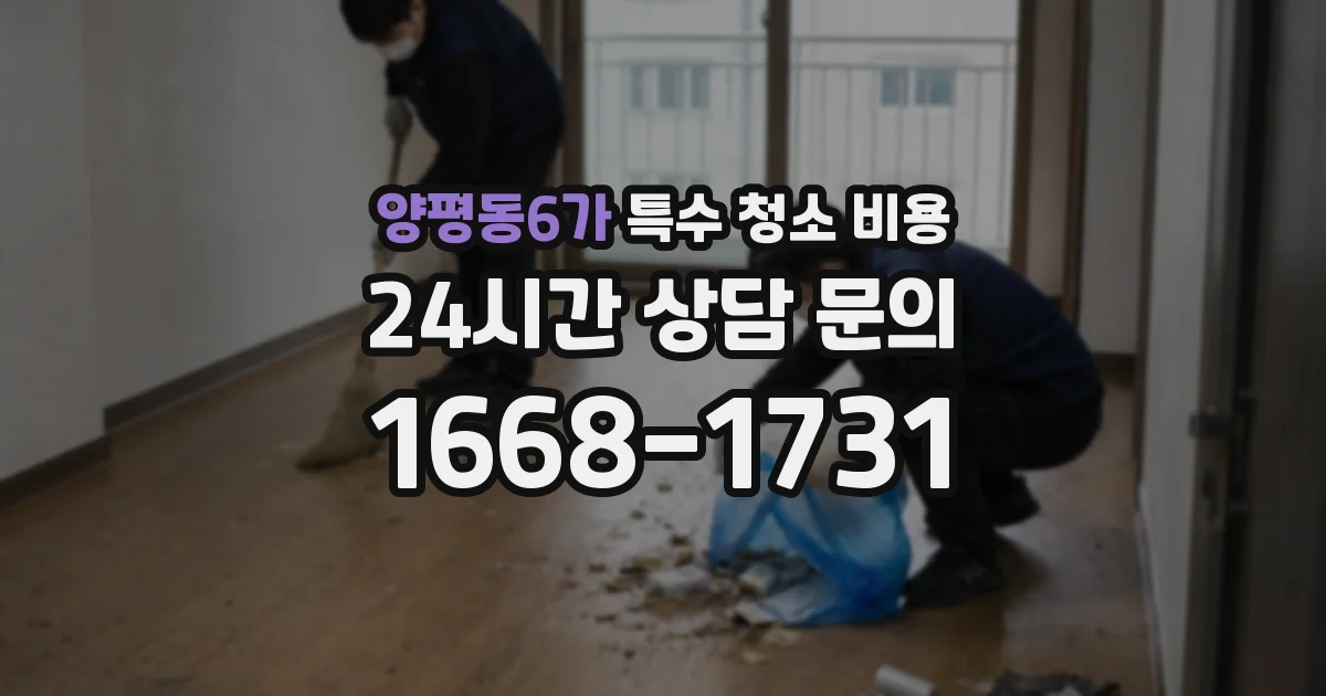 양평동6가 특수 청소 비용