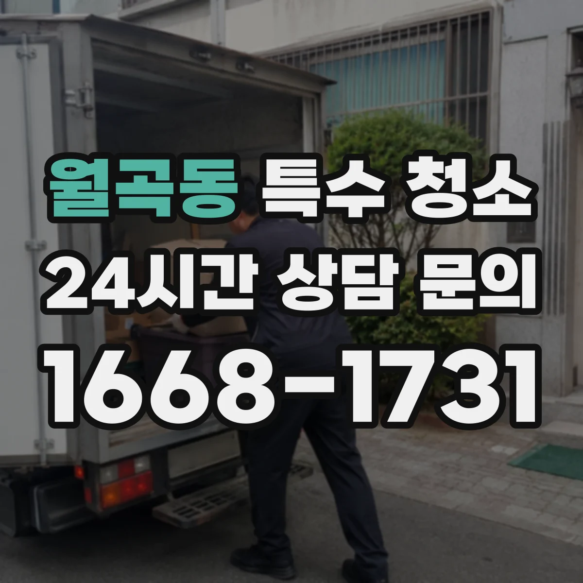 월곡동 특수 청소