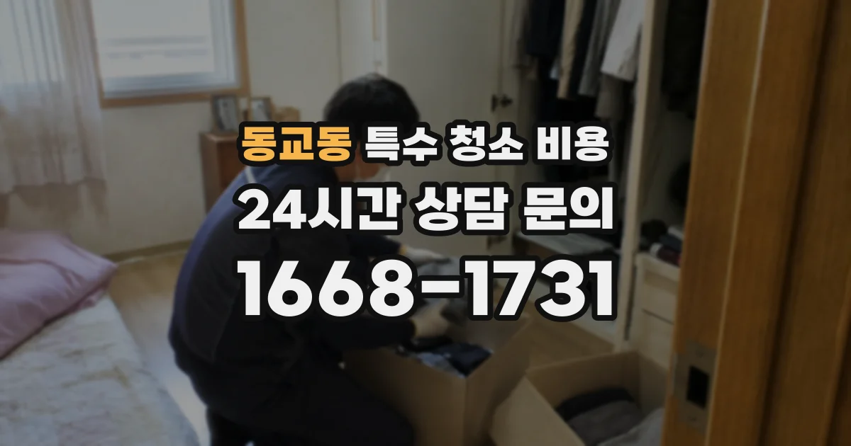 동교동 특수 청소 비용