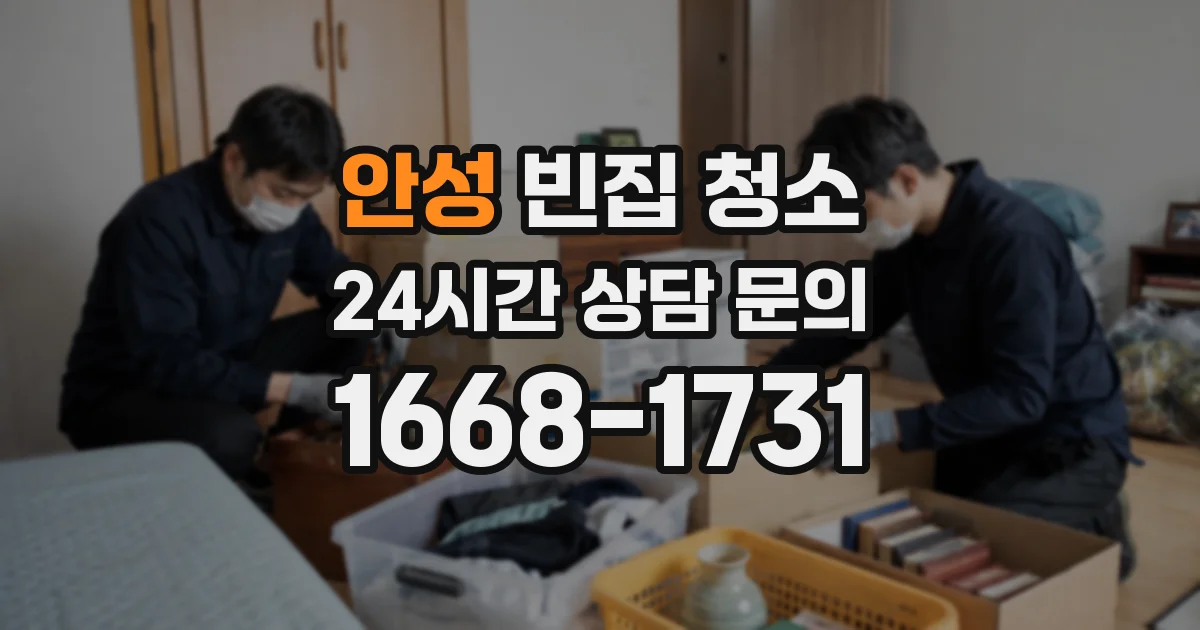 안성 빈집 청소