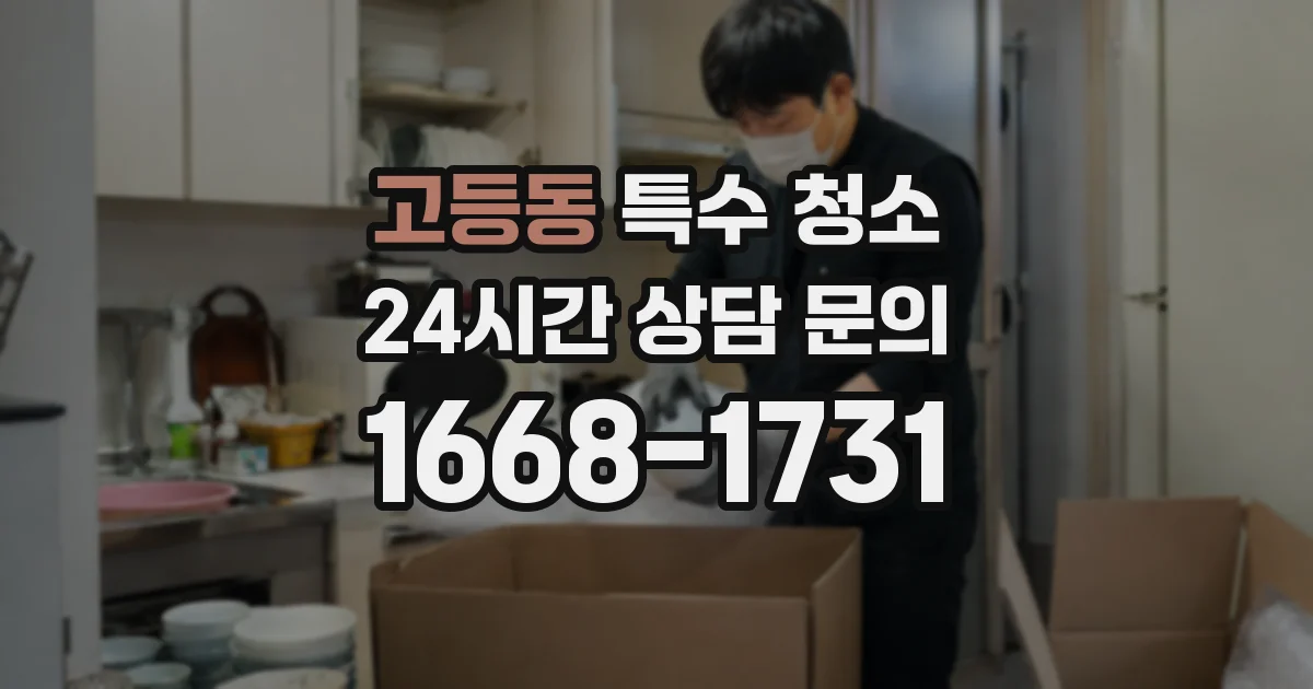 고등동 특수 청소