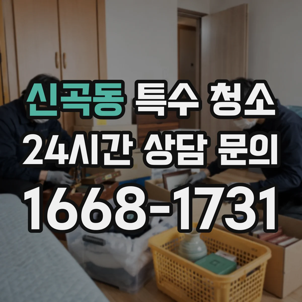 신곡동 특수 청소