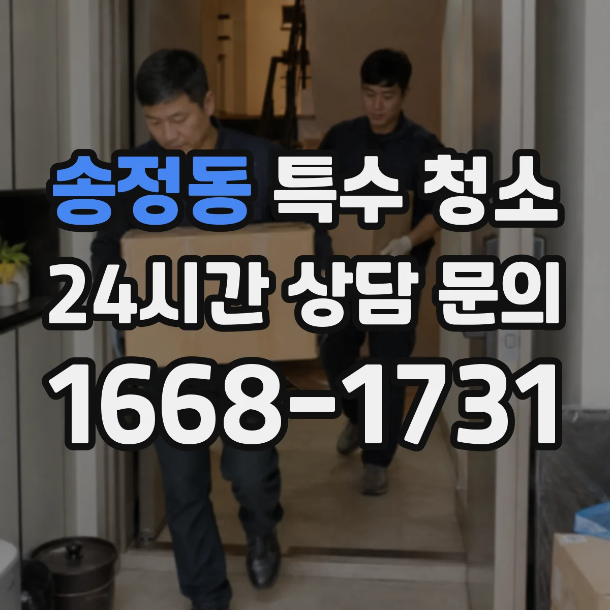 송정동 특수 청소