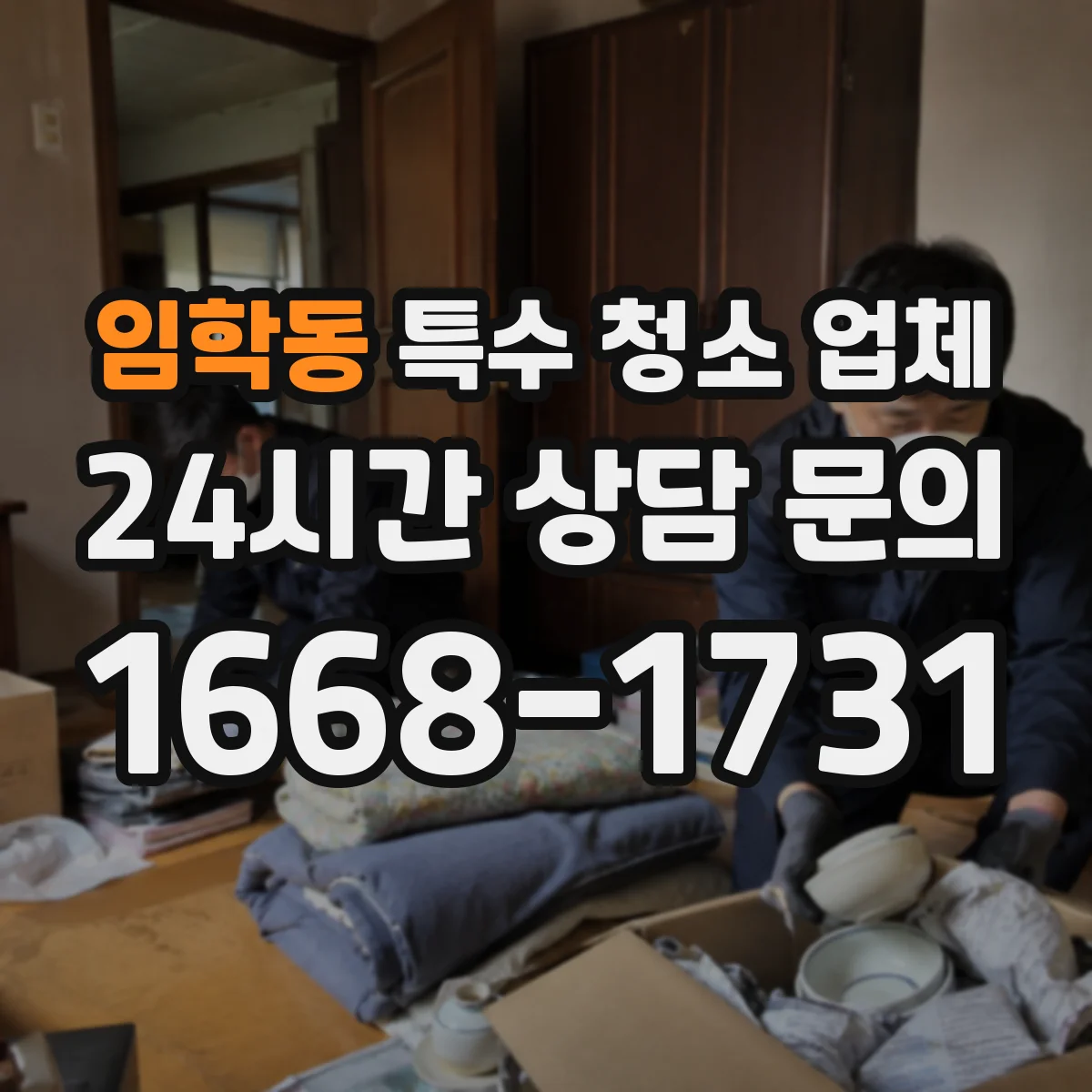 임학동 특수 청소 업체
