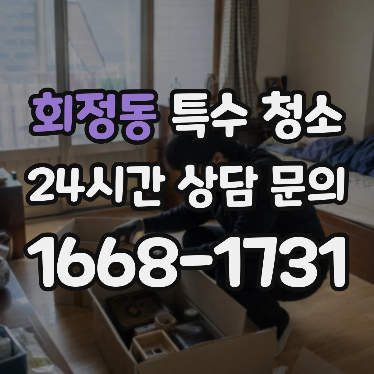 회정동 특수 청소