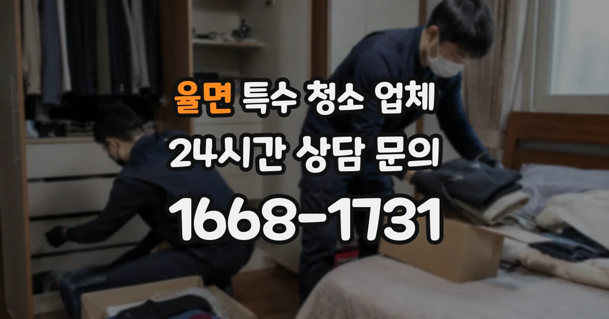율면 특수 청소 업체