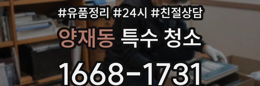 양재동 특수 청소