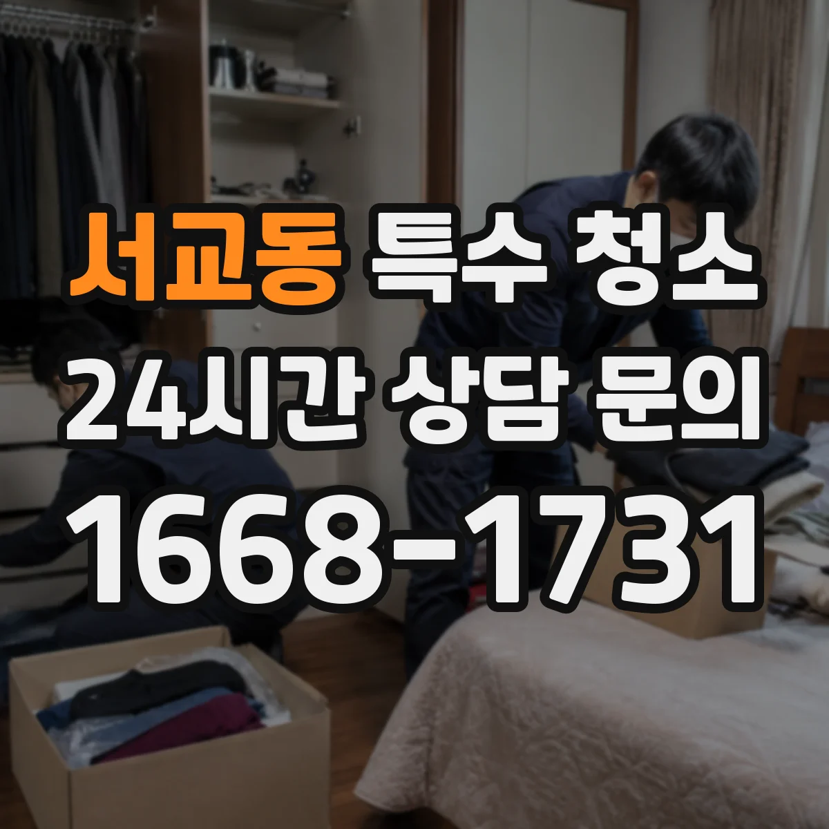서교동 특수 청소
