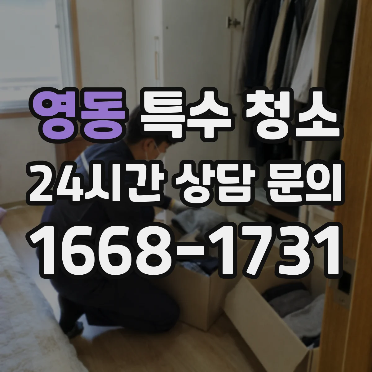 영동 특수 청소