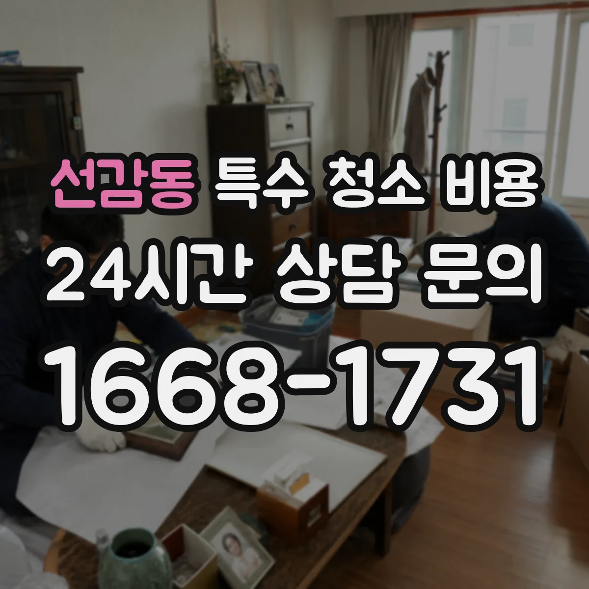 선감동 특수 청소 비용
