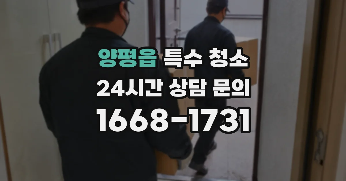 양평읍 특수 청소