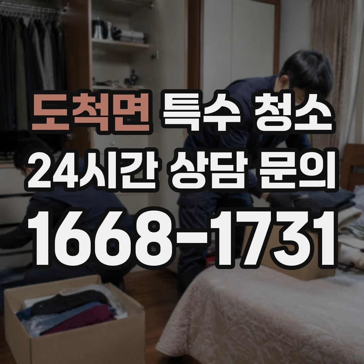 도척면 특수 청소