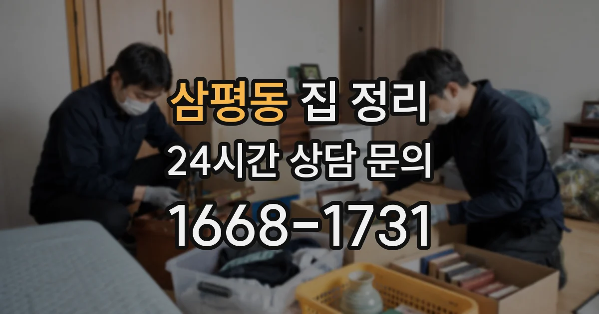 삼평동 집 정리