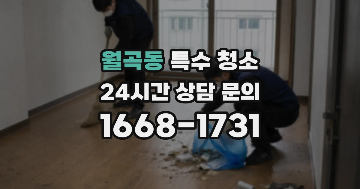 월곡동 특수 청소