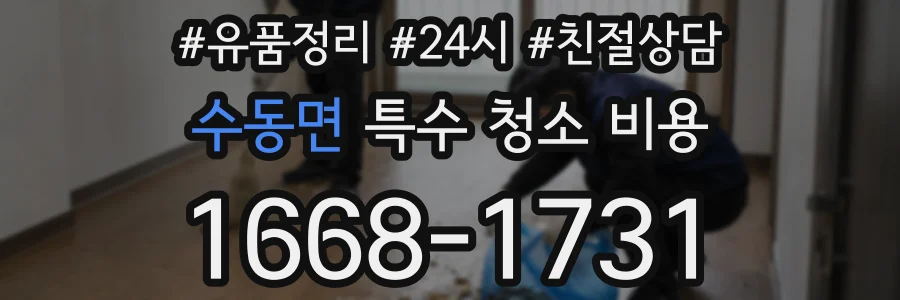 수동면 특수 청소 비용