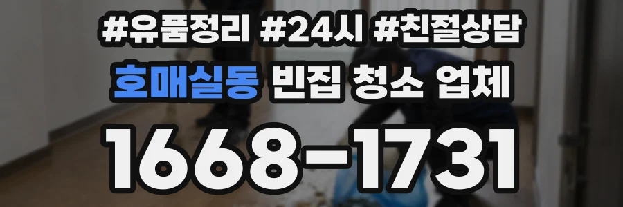 호매실동 빈집 청소 업체