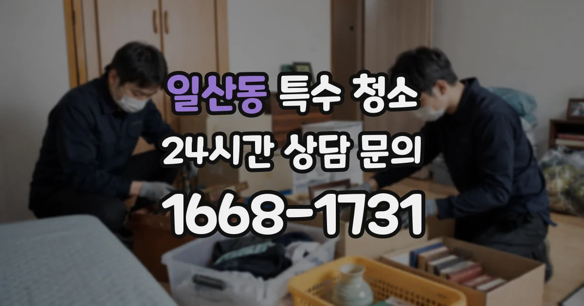 일산동 특수 청소