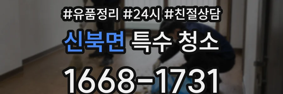 신북면 특수 청소