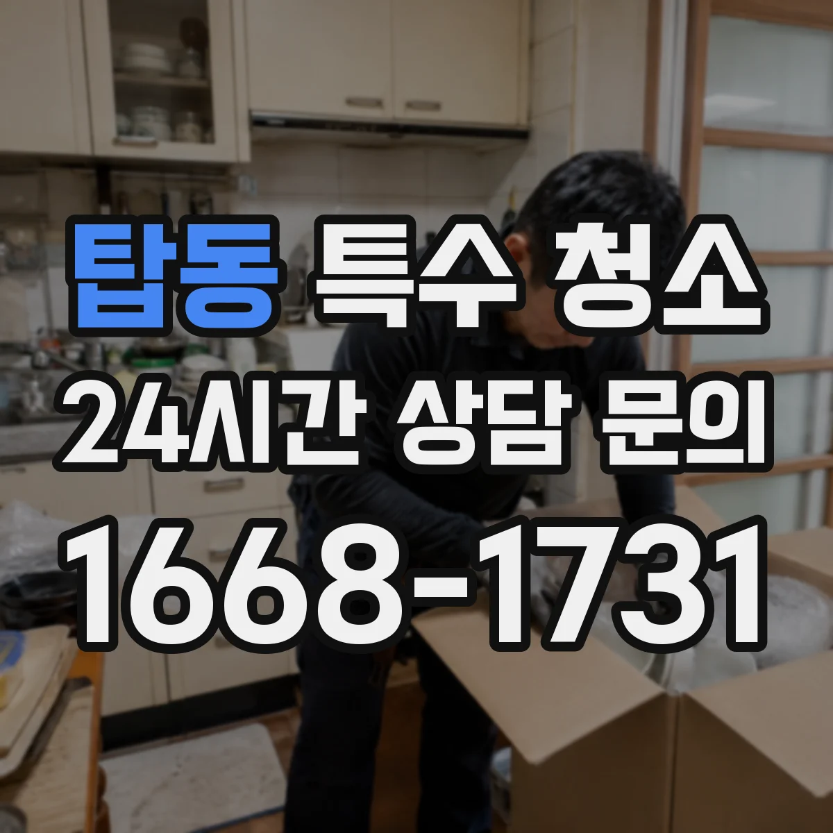 탑동 특수 청소