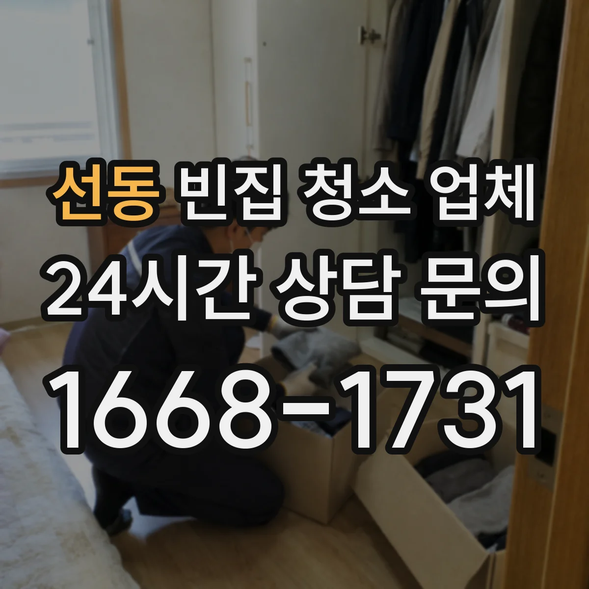 선동 빈집 청소 업체