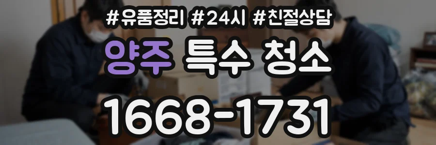 양주 특수 청소