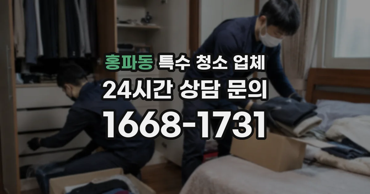 홍파동 특수 청소 업체