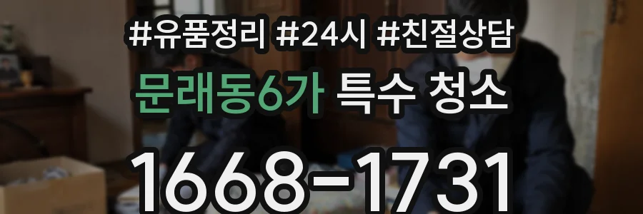 문래동6가 특수 청소
