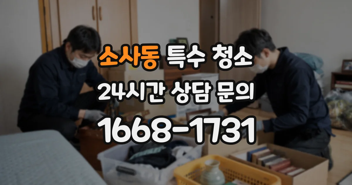 소사동 특수 청소