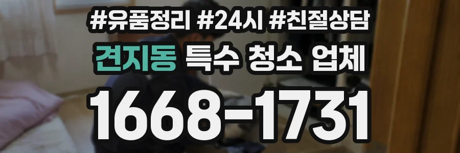 견지동 특수 청소 업체