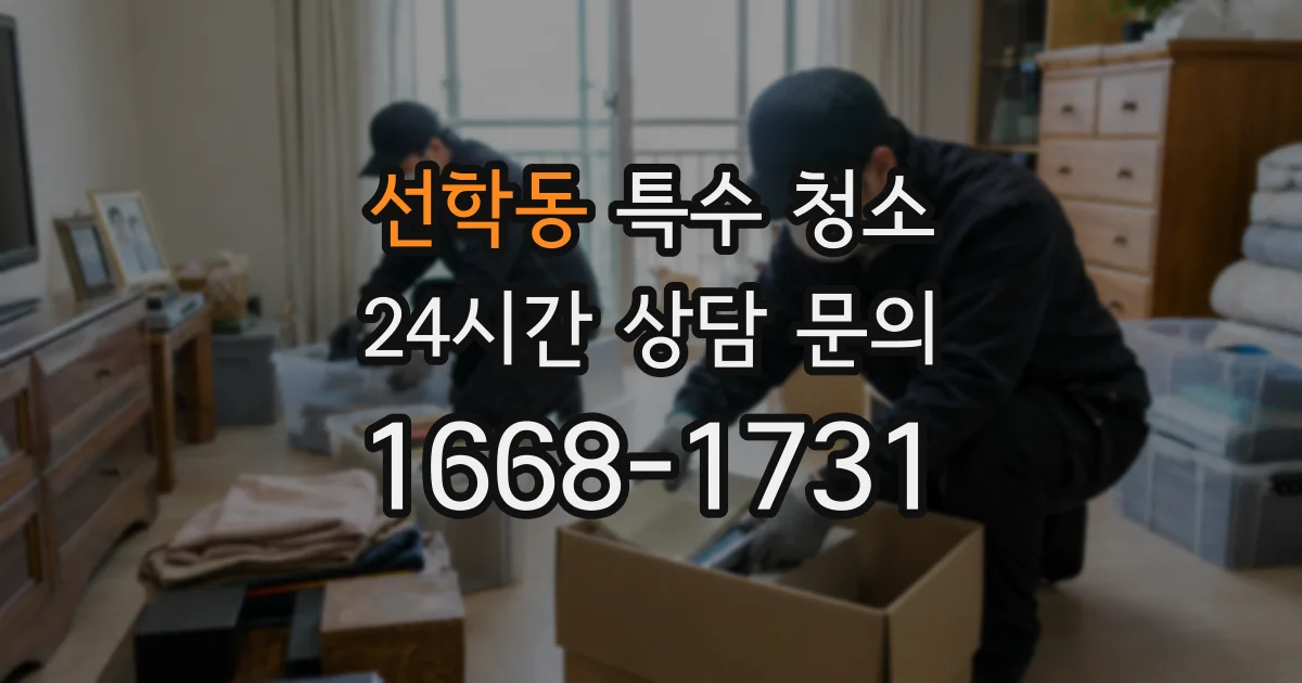 선학동 특수 청소