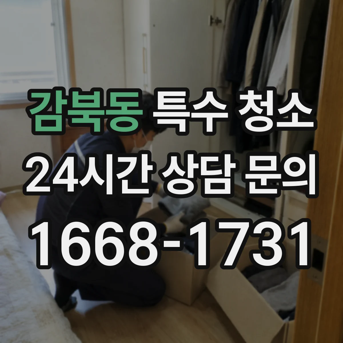 감북동 특수 청소