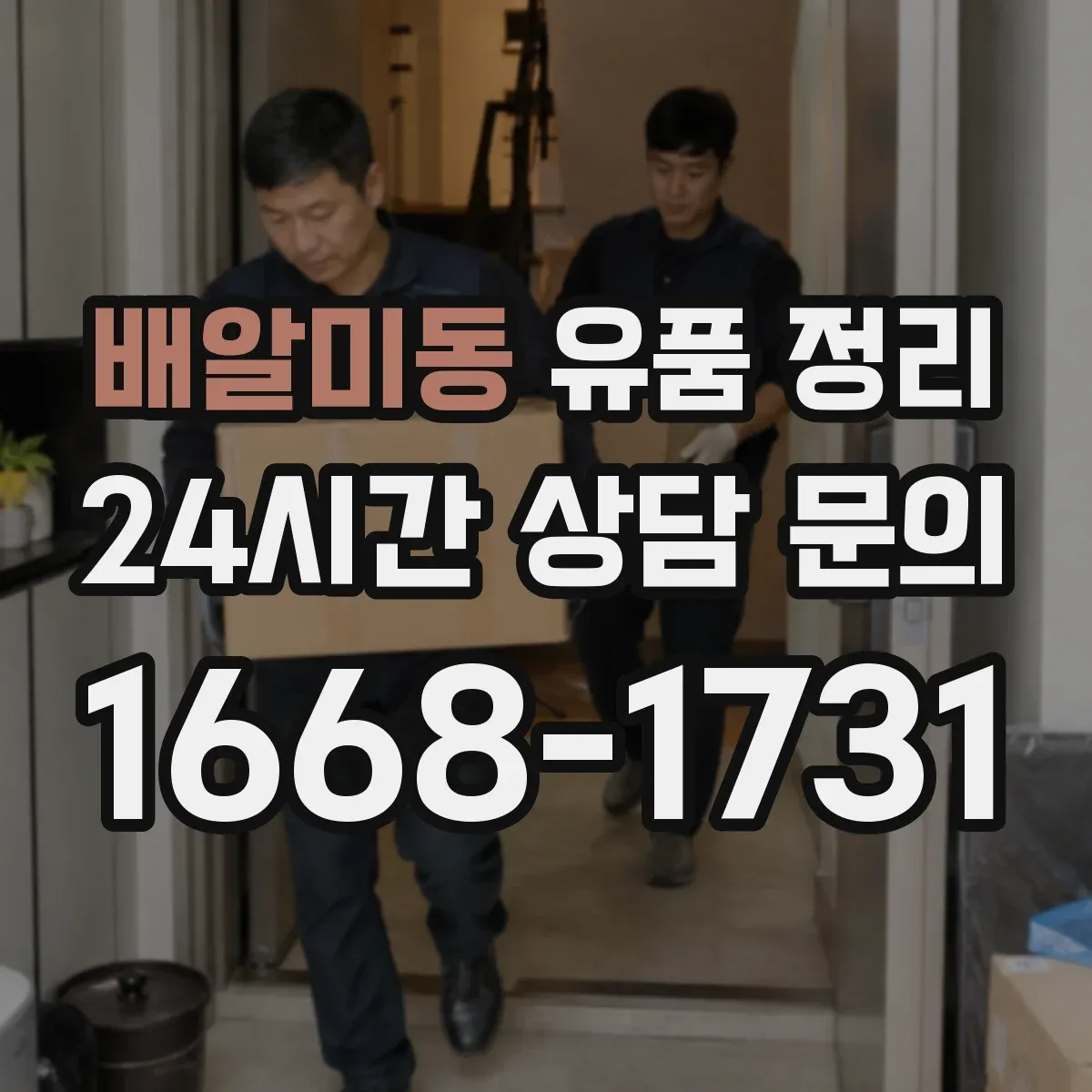 배알미동 유품 정리