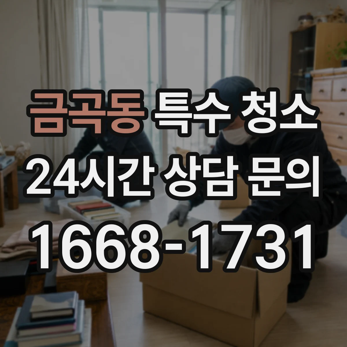 금곡동 특수 청소