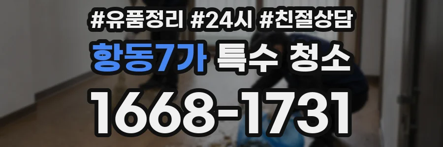 항동7가 특수 청소