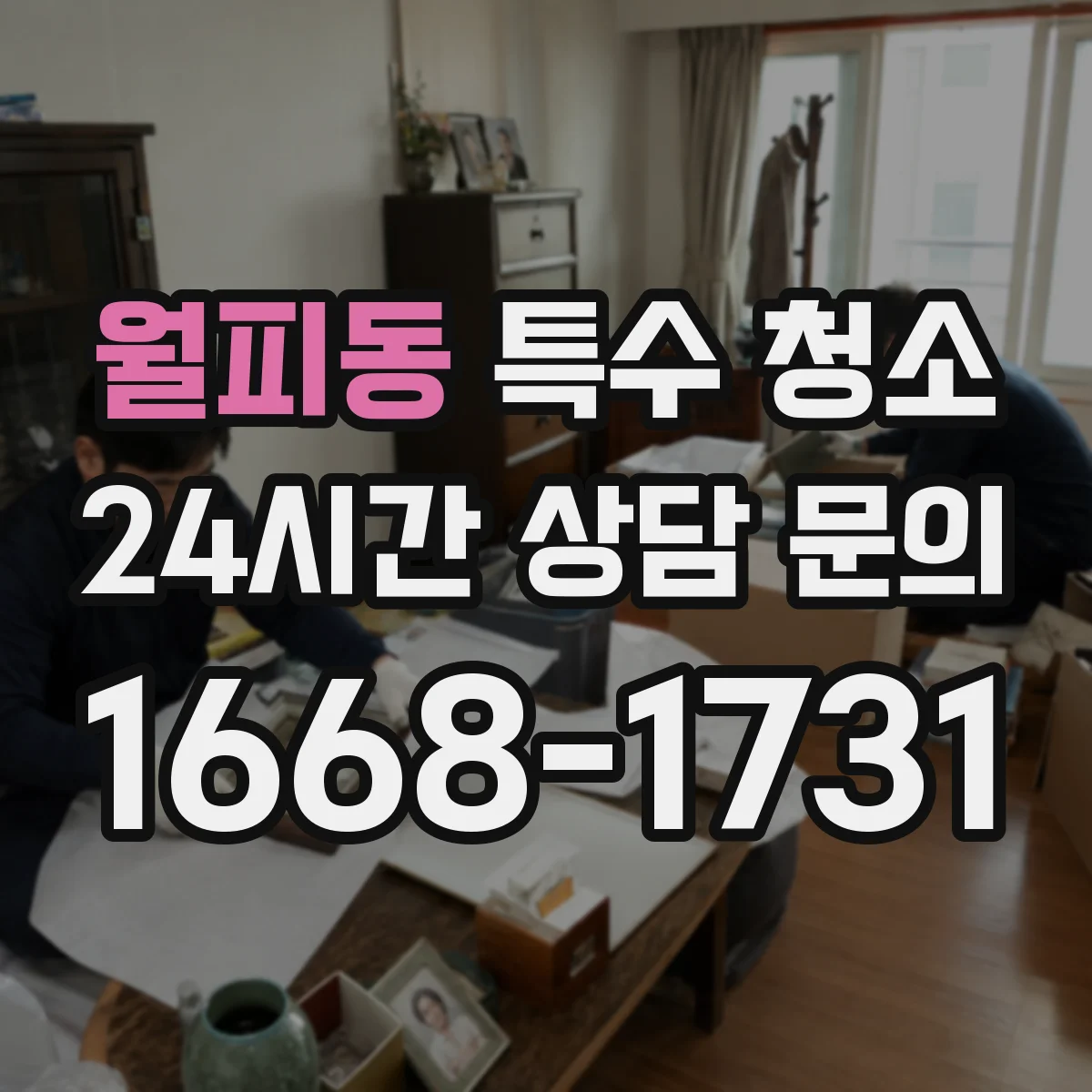월피동 특수 청소